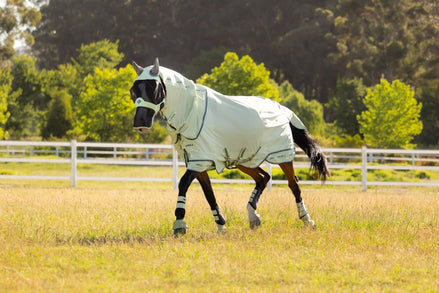 LeMieux Arika Armour - Tek Vliegendeken Vliegendekens - Maddelin Equestrian LeMieux