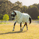 LeMieux Arika Armour - Tek Vliegendeken Vliegendekens - Maddelin Equestrian LeMieux