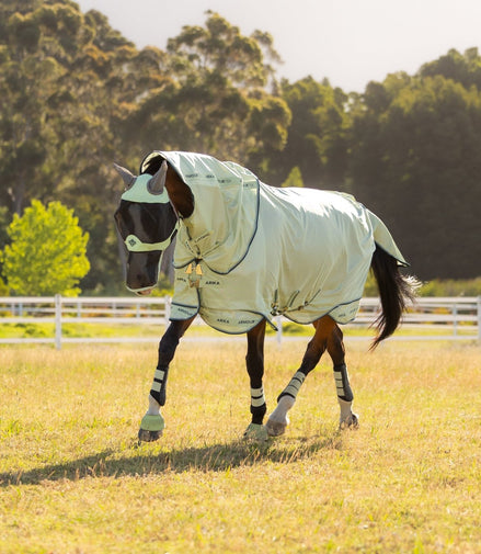 LeMieux Arika Armour - Tek Vliegendeken Vliegendekens - Maddelin Equestrian LeMieux