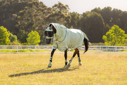 LeMieux Arika Armour - Tek Vliegendeken Vliegendekens - Maddelin Equestrian LeMieux