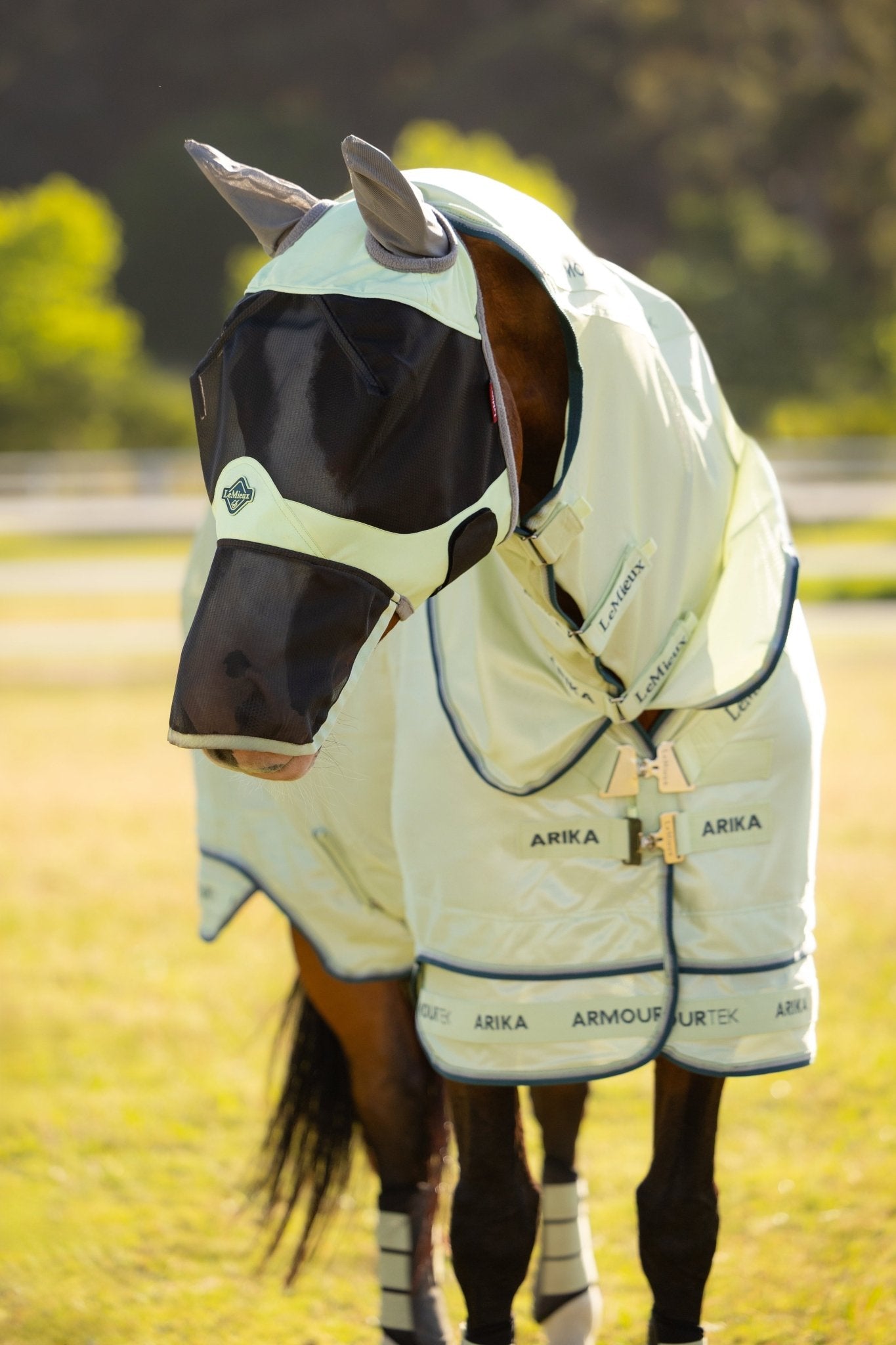 LeMieux Arika Armour - Tek Vliegendeken Vliegendekens - Maddelin Equestrian LeMieux