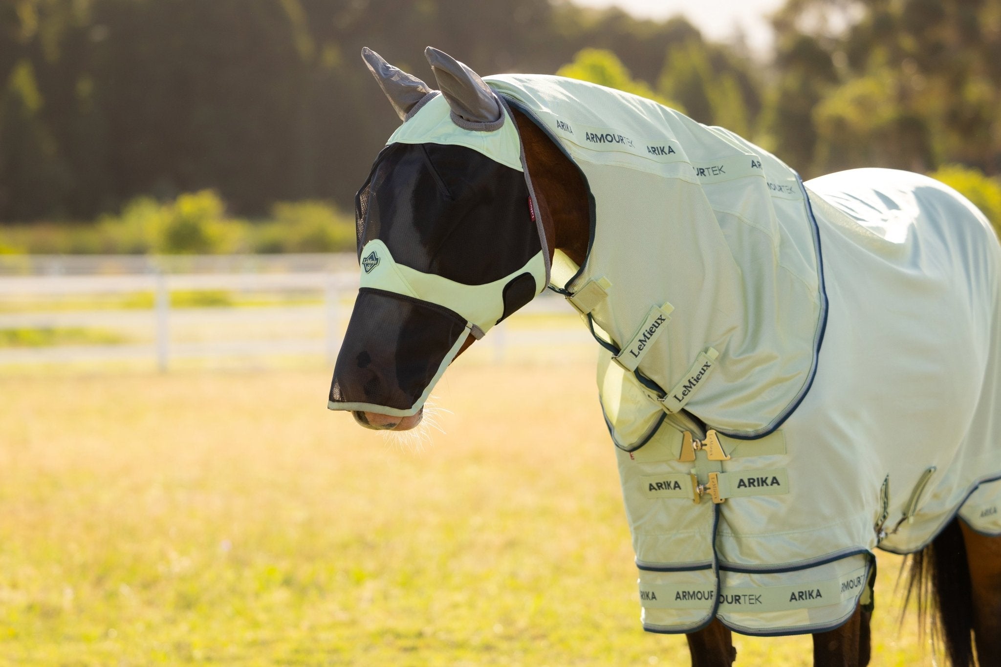 LeMieux Arika Armour - Tek Vliegendeken Vliegendekens - Maddelin Equestrian LeMieux