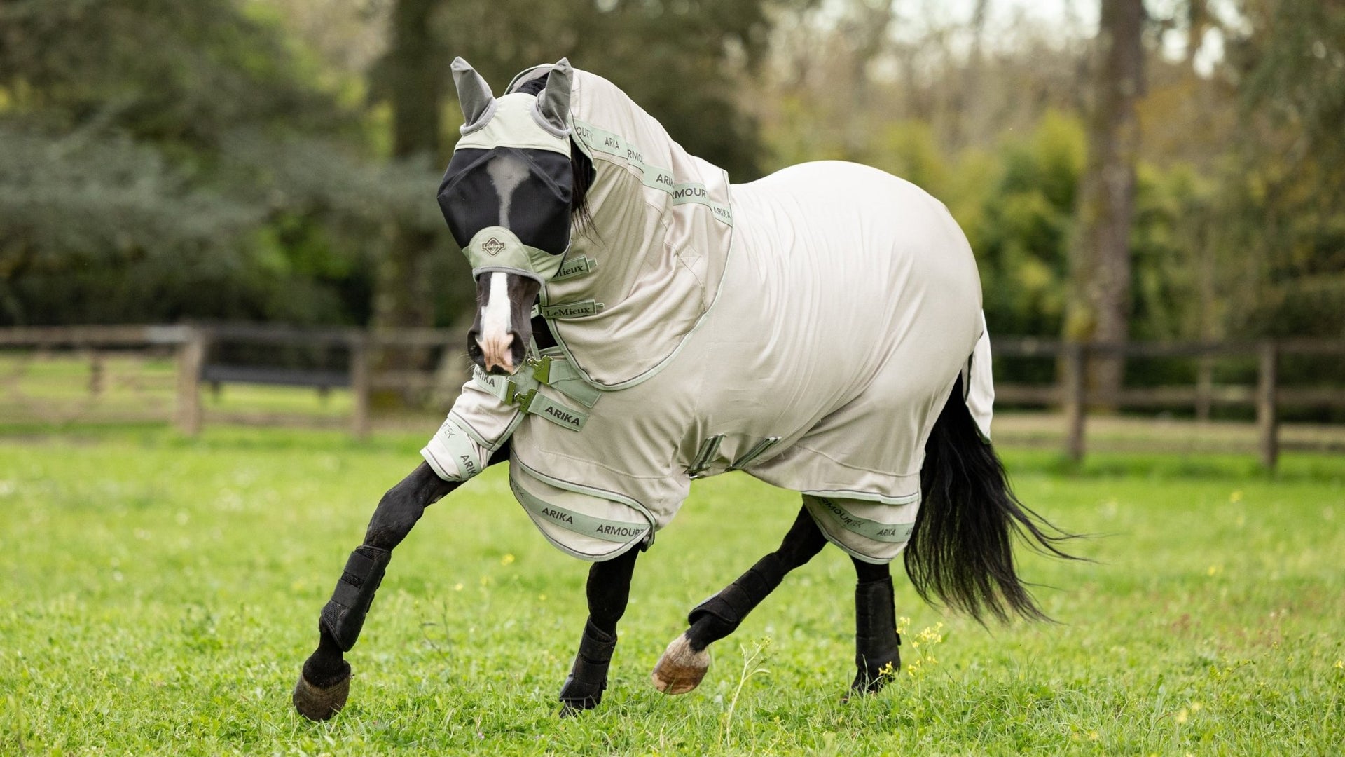 LeMieux Arika Armour - Tek Vliegendeken Vliegendekens - Maddelin Equestrian LeMieux