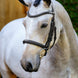 LeMieux Arika Cavesson Hoofdstel Trenshoofdstellen - Maddelin Equestrian