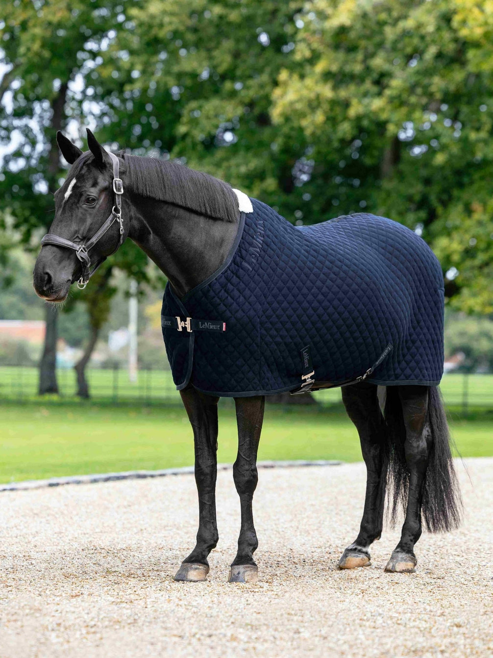 LeMieux Arika Clima-Tek Rug Zweetdekens - Maddelin Equestrian LeMieux