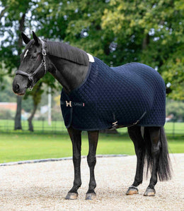 LeMieux Arika Clima-Tek Rug Zweetdekens - Maddelin Equestrian LeMieux
