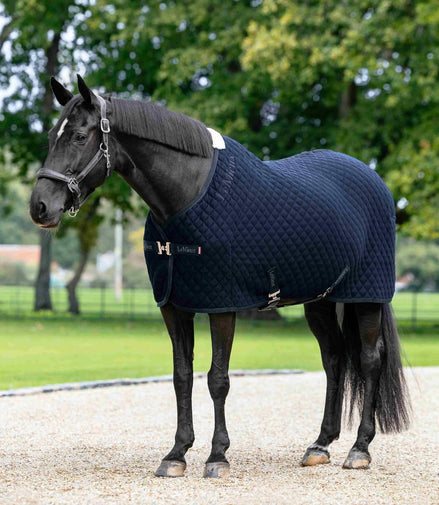 LeMieux Arika Clima-Tek Rug Zweetdekens - Maddelin Equestrian LeMieux
