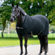 LeMieux Arika Clima-Tek Rug Zweetdekens - Maddelin Equestrian LeMieux