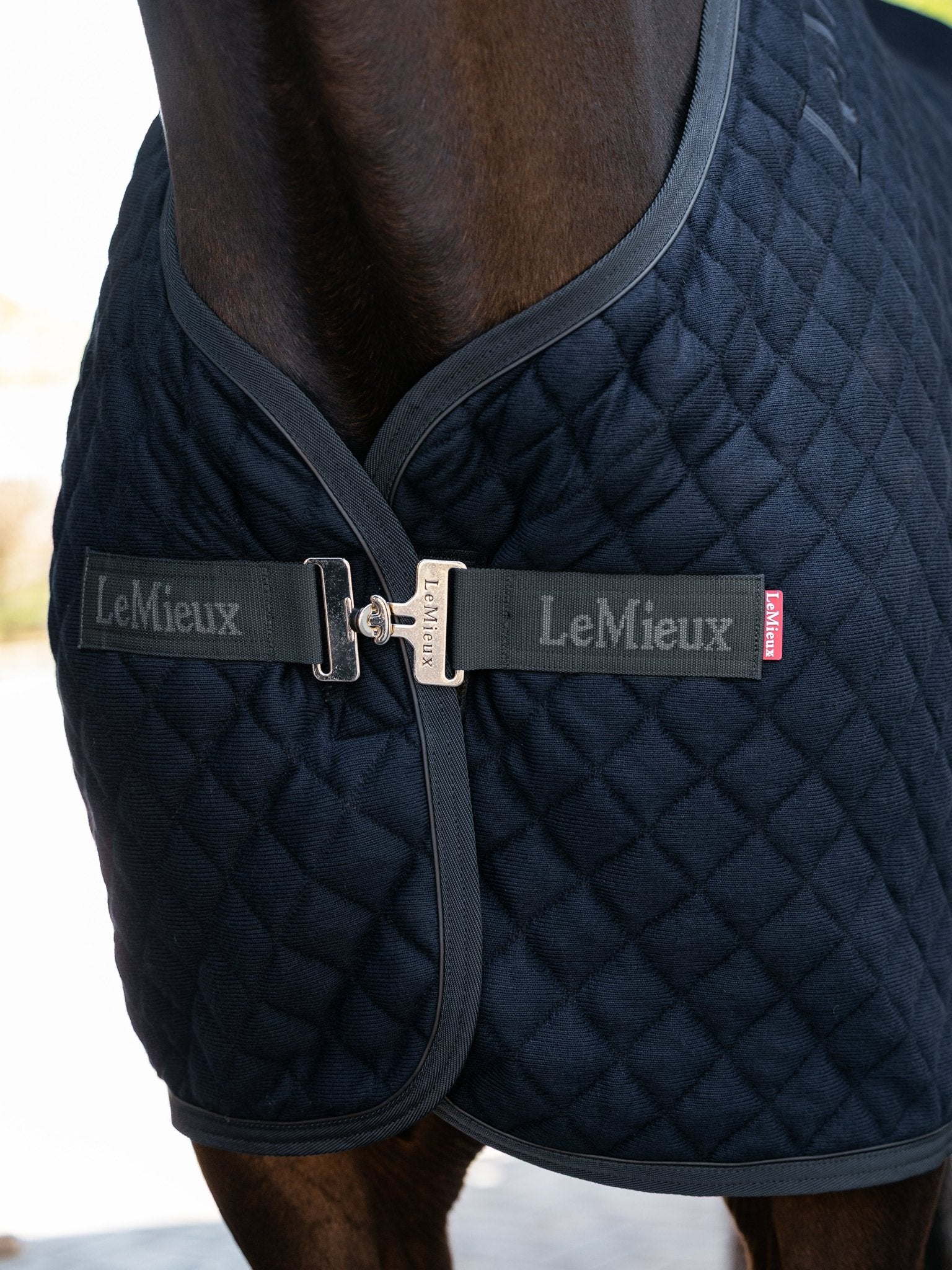 LeMieux Arika Clima-Tek Rug Zweetdekens - Maddelin Equestrian LeMieux