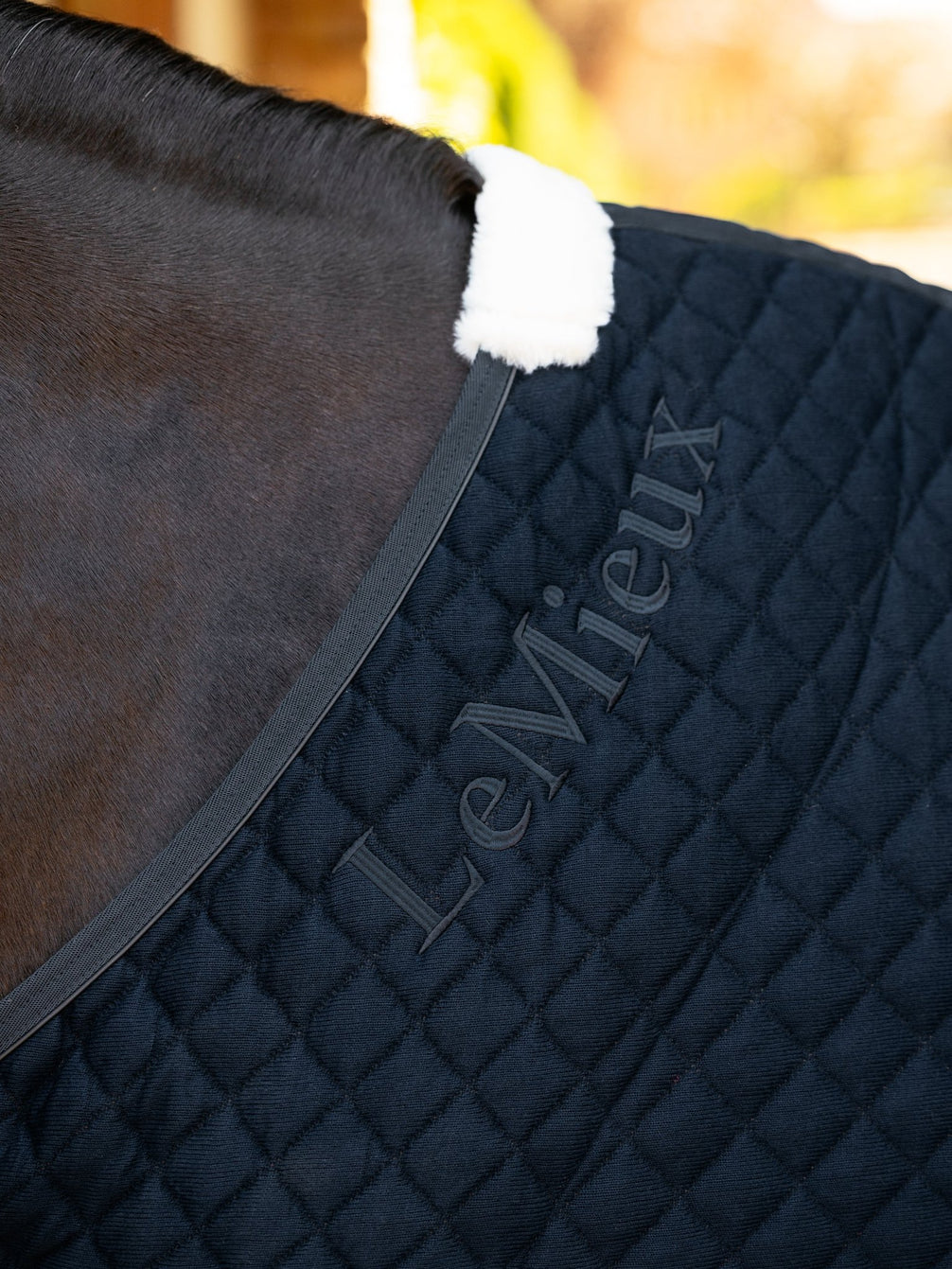 LeMieux Arika Clima-Tek Rug Zweetdekens - Maddelin Equestrian LeMieux