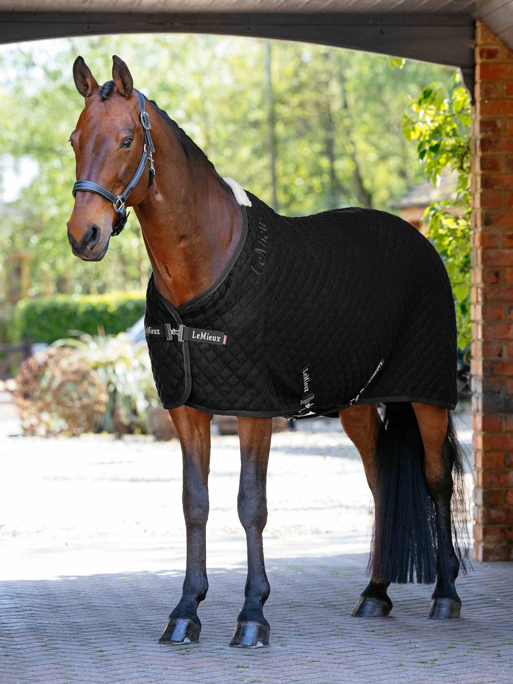 LeMieux Arika Clima-Tek Rug Zweetdekens - Maddelin Equestrian LeMieux
