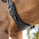 LeMieux Arika Contoured Dressuursingel Singels - Maddelin Equestrian LeMieux
