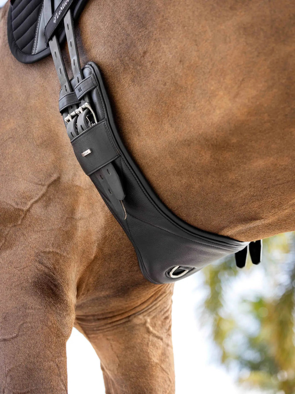 LeMieux Arika Contoured Dressuursingel Singels - Maddelin Equestrian LeMieux
