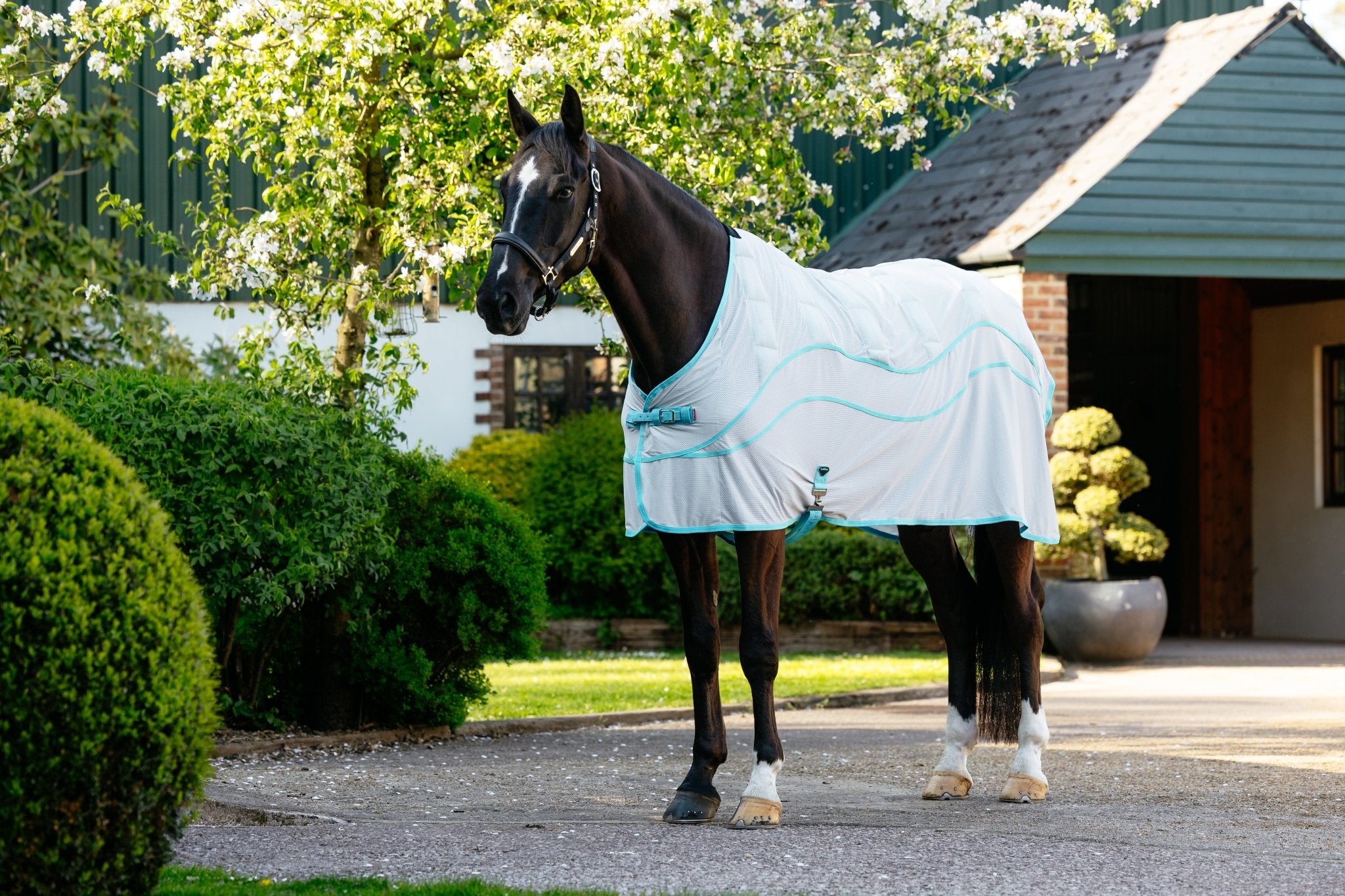 LeMieux Arika Crystal Cool Water Rug Therapeutisch - Maddelin Equestrian LeMieux