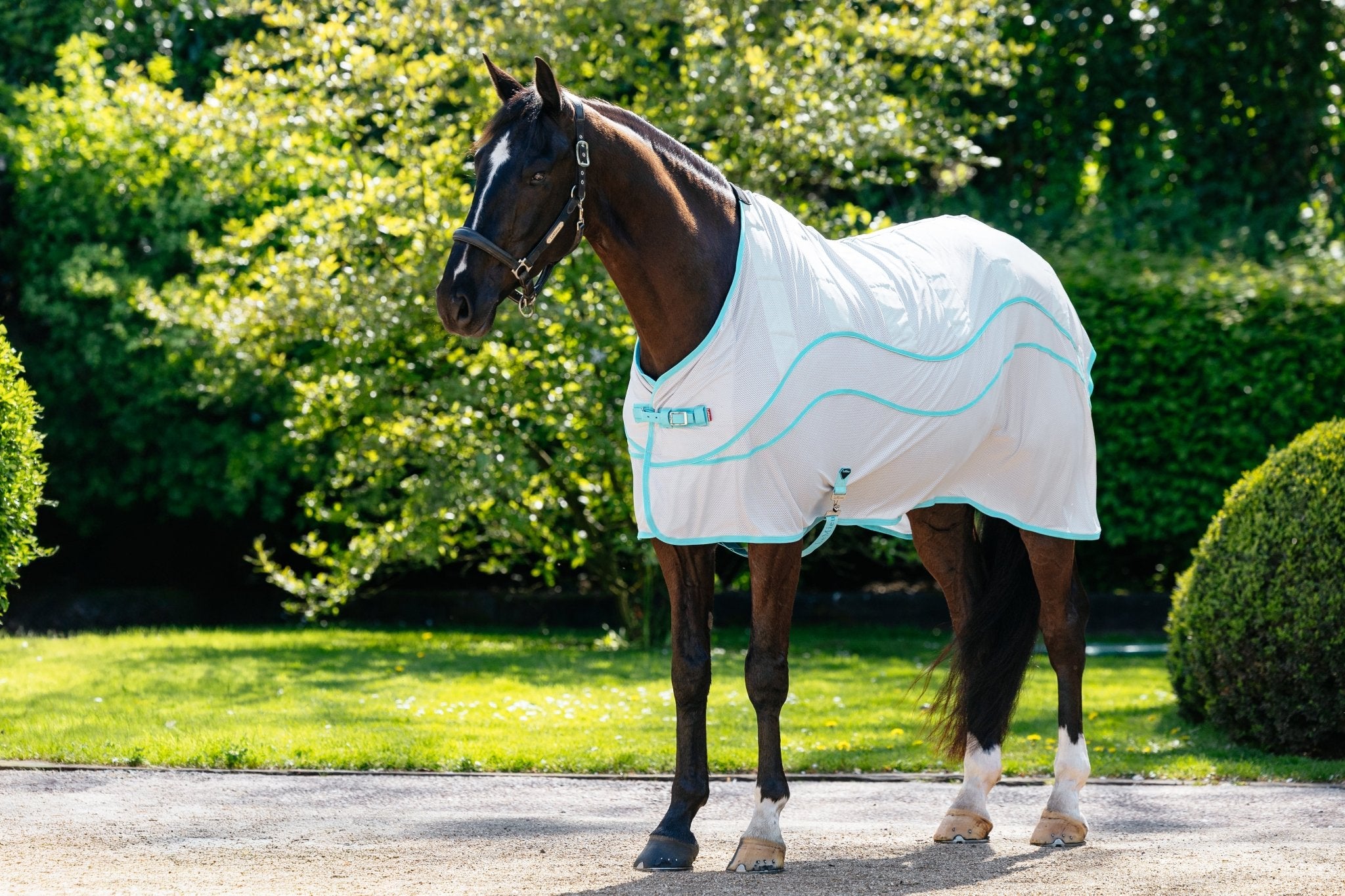 LeMieux Arika Crystal Cool Water Rug Therapeutisch - Maddelin Equestrian LeMieux