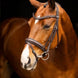 LeMieux Arika Dressage Hoofdstel Trenshoofdstellen - Maddelin Equestrian LeMieux
