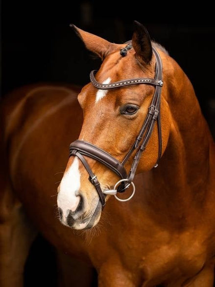 LeMieux Arika Dressage Hoofdstel Trenshoofdstellen - Maddelin Equestrian LeMieux