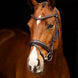 LeMieux Arika Dressage Hoofdstel Trenshoofdstellen - Maddelin Equestrian LeMieux