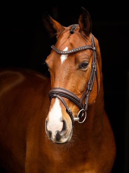 LeMieux Arika Dressage Hoofdstel Trenshoofdstellen - Maddelin Equestrian LeMieux
