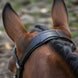 LeMieux Arika Dressage Hoofdstel Trenshoofdstellen - Maddelin Equestrian