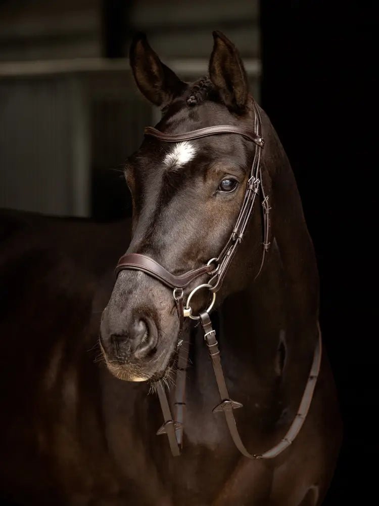 LeMieux Arika Drop Hoofdstel Trenshoofdstellen - Maddelin Equestrian LeMieux
