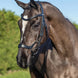 LeMieux Arika Drop Hoofdstel Trenshoofdstellen - Maddelin Equestrian LeMieux