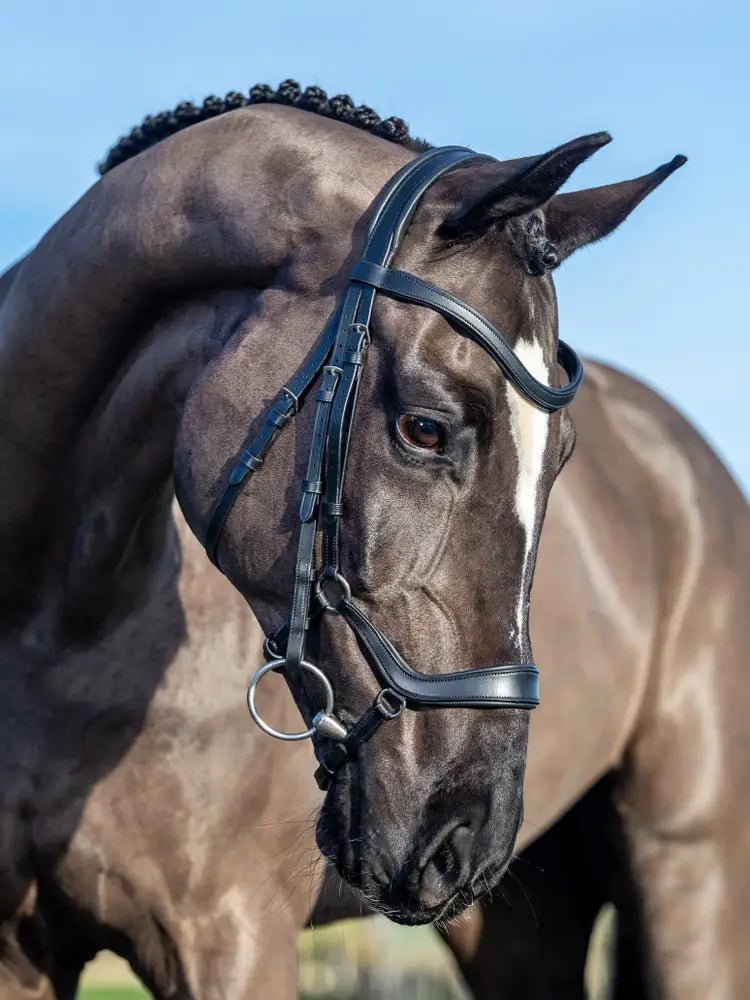LeMieux Arika Drop Hoofdstel Trenshoofdstellen - Maddelin Equestrian LeMieux