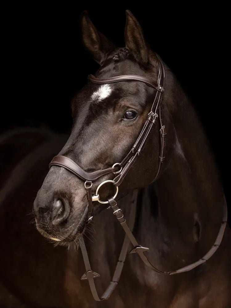 LeMieux Arika Drop Hoofdstel Trenshoofdstellen - Maddelin Equestrian LeMieux