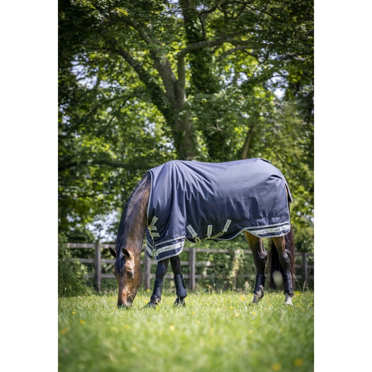 LeMieux Arika Featherweight Outdoordeken Outdoordeken - Maddelin Equestrian LeMieux