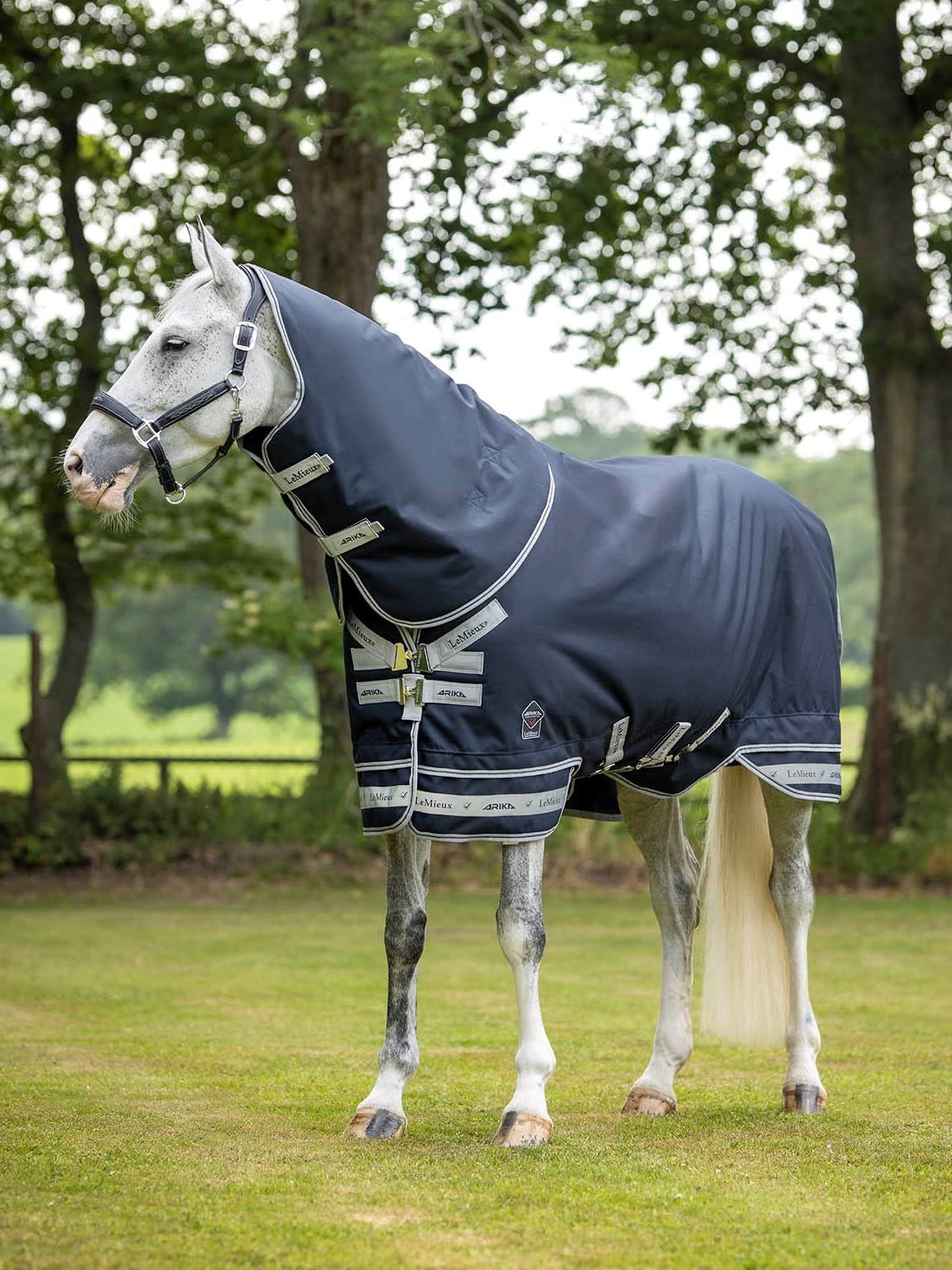 LeMieux Arika Featherweight Outdoordeken Outdoordeken - Maddelin Equestrian LeMieux
