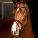 LeMieux Arika Flash Hoofdstel Trenshoofdstellen - Maddelin Equestrian LeMieux