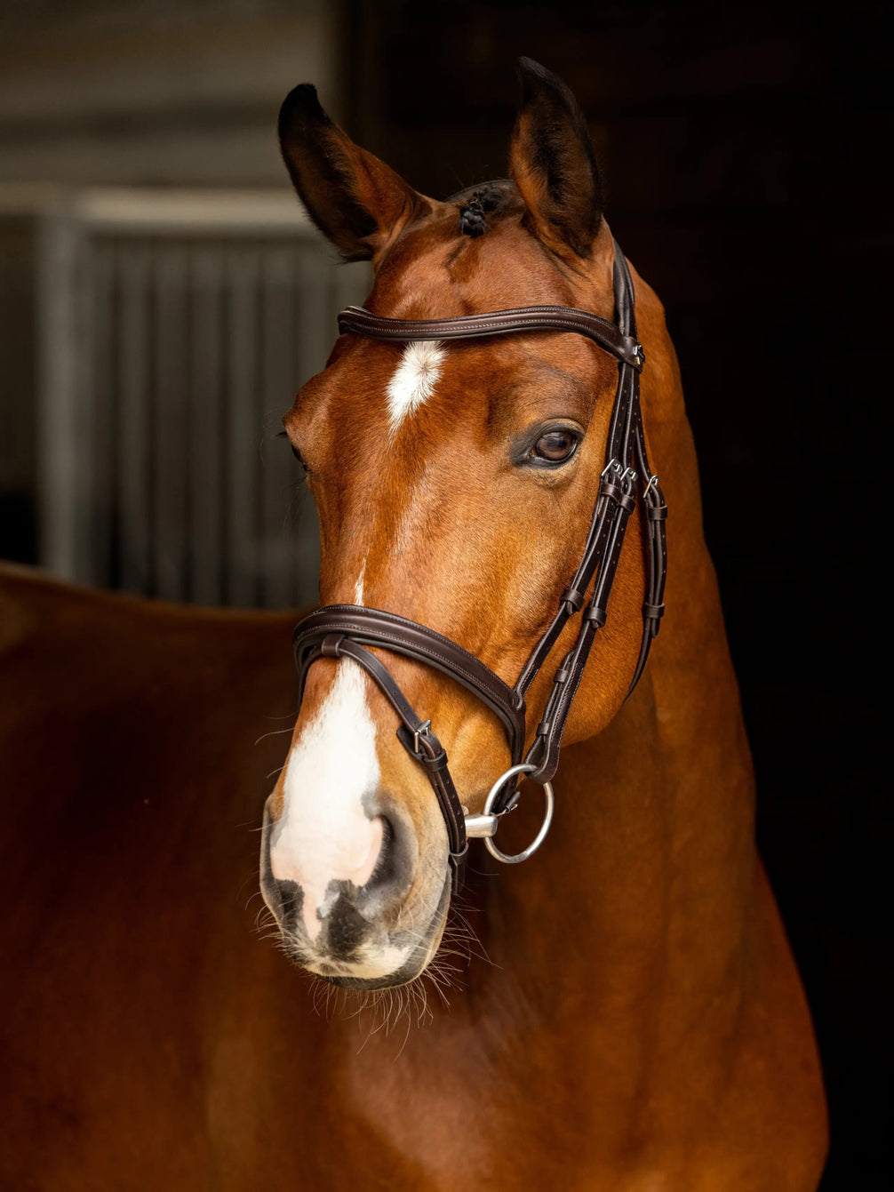 LeMieux Arika Flash Hoofdstel Trenshoofdstellen - Maddelin Equestrian LeMieux