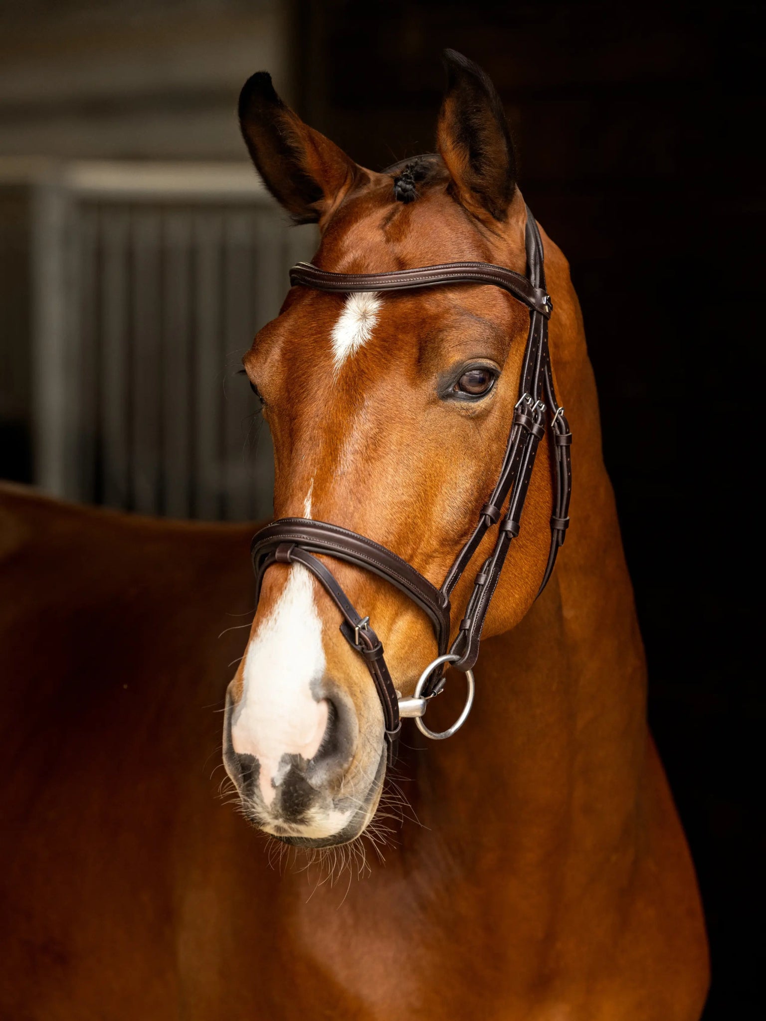 LeMieux Arika Flash Hoofdstel Trenshoofdstellen - Maddelin Equestrian LeMieux
