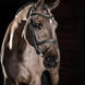 LeMieux Arika Flash Hoofdstel Trenshoofdstellen - Maddelin Equestrian LeMieux
