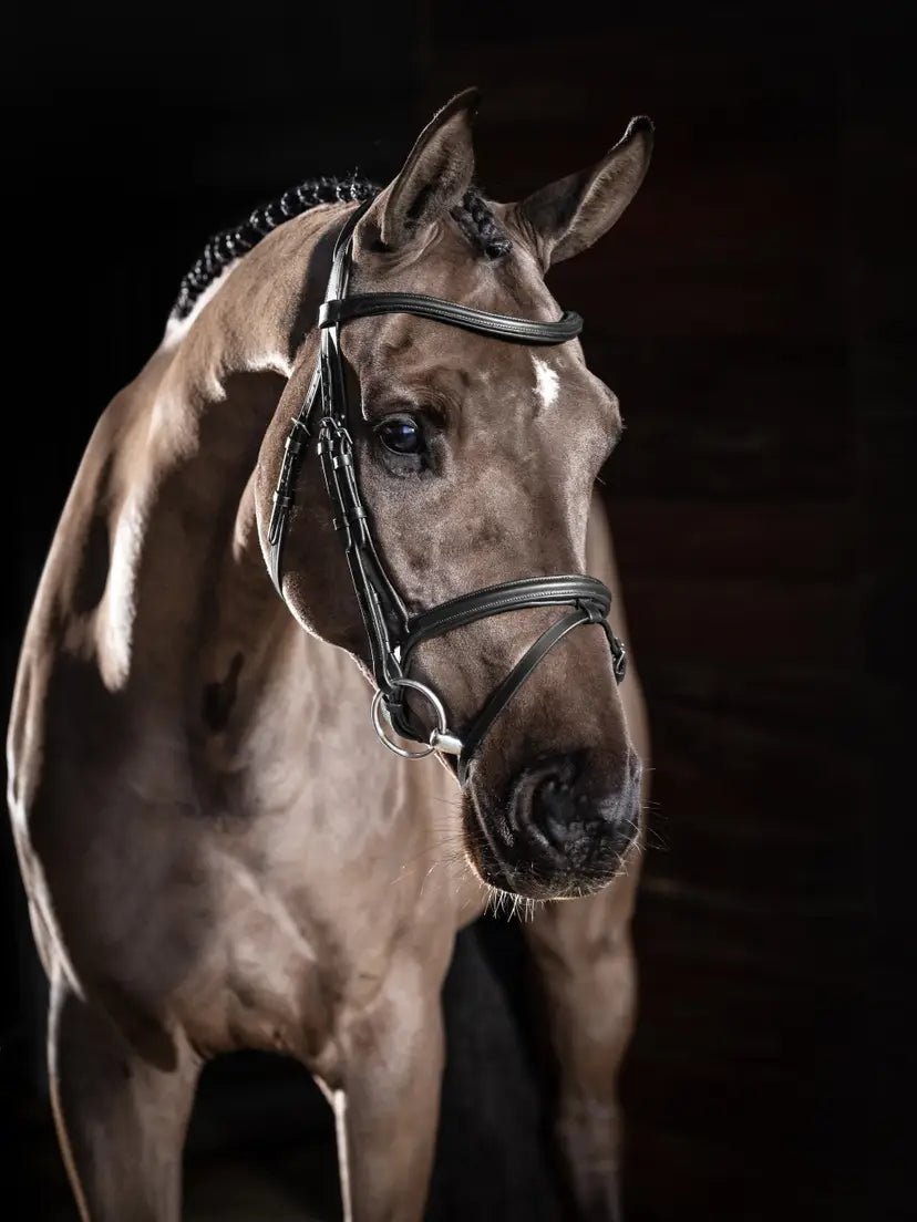 LeMieux Arika Flash Hoofdstel Trenshoofdstellen - Maddelin Equestrian LeMieux