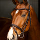 LeMieux Arika Flash Hoofdstel Trenshoofdstellen - Maddelin Equestrian LeMieux