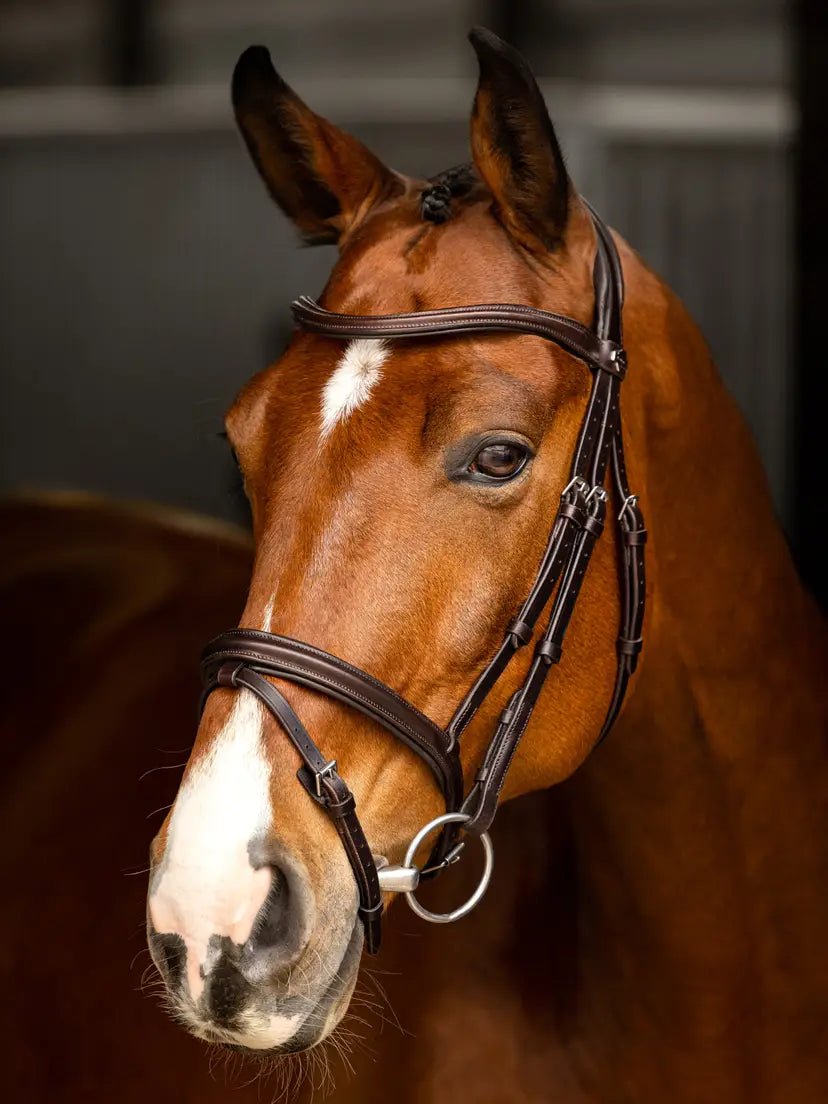 LeMieux Arika Flash Hoofdstel Trenshoofdstellen - Maddelin Equestrian LeMieux