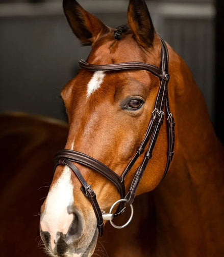 LeMieux Arika Flash Hoofdstel Trenshoofdstellen - Maddelin Equestrian LeMieux