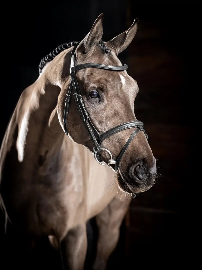 LeMieux Arika Flash Hoofdstel Trenshoofdstellen - Maddelin Equestrian LeMieux