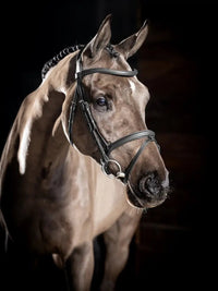 LeMieux Arika Flash Hoofdstel Trenshoofdstellen - Maddelin Equestrian LeMieux