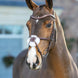 LeMieux Arika Grackle Hoofdstel Trenshoofdstellen - Maddelin Equestrian LeMieux
