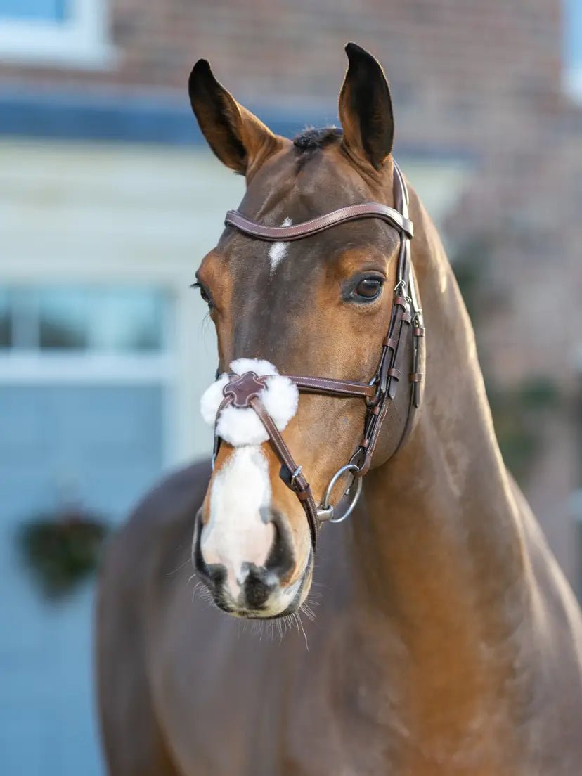 LeMieux Arika Grackle Hoofdstel Trenshoofdstellen - Maddelin Equestrian LeMieux