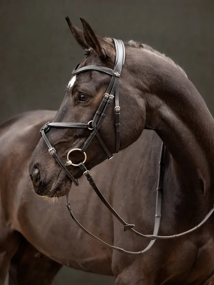 LeMieux Arika Grackle Hoofdstel Trenshoofdstellen - Maddelin Equestrian LeMieux