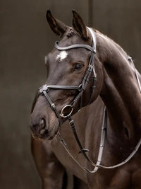 LeMieux Arika Grackle Hoofdstel Trenshoofdstellen - Maddelin Equestrian LeMieux