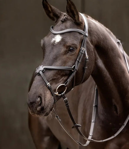 LeMieux Arika Grackle Hoofdstel Trenshoofdstellen - Maddelin Equestrian LeMieux