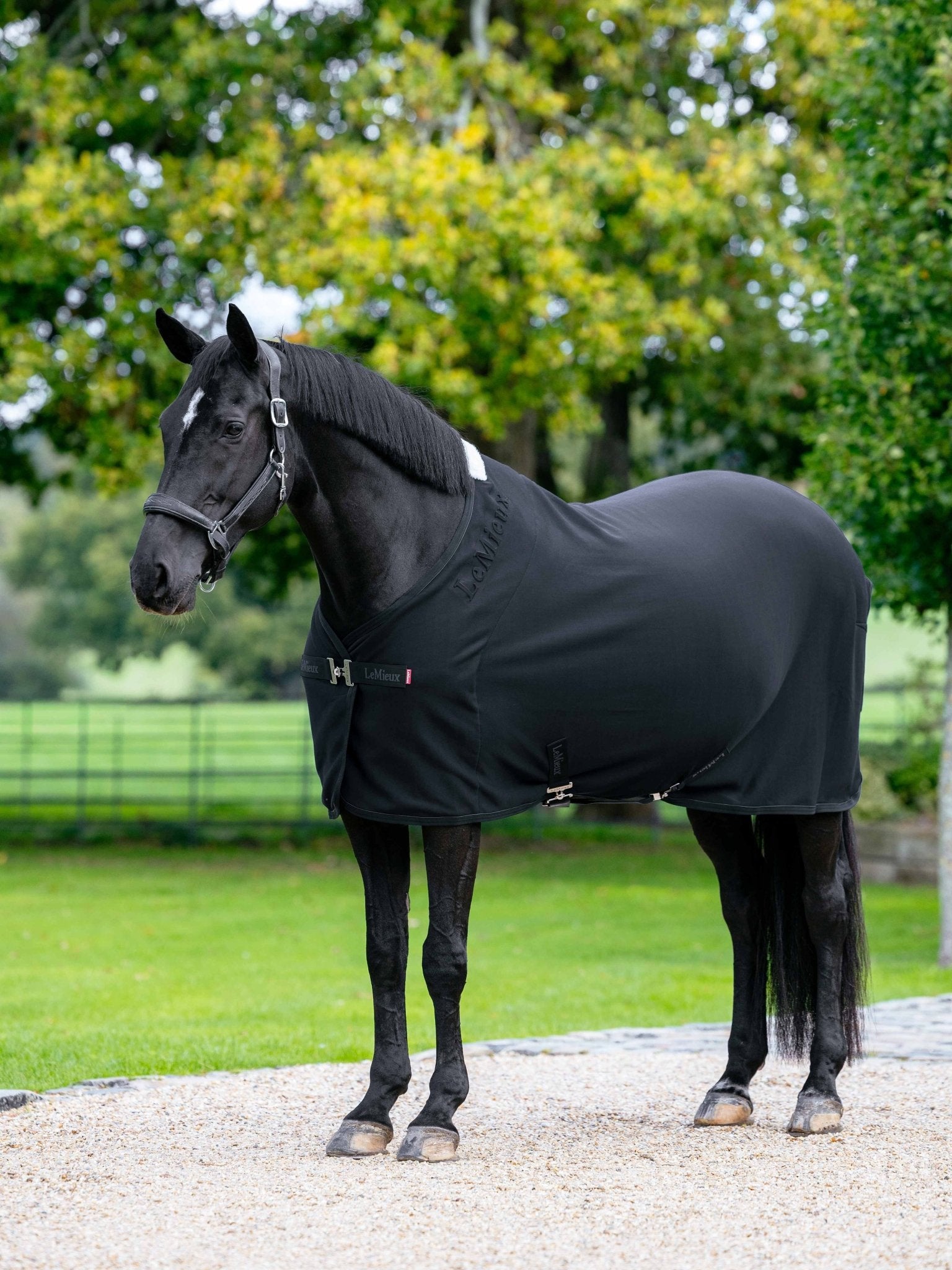 LeMieux Arika Jersey-Tek Fleece Zweetdekens - Maddelin Equestrian LeMieux
