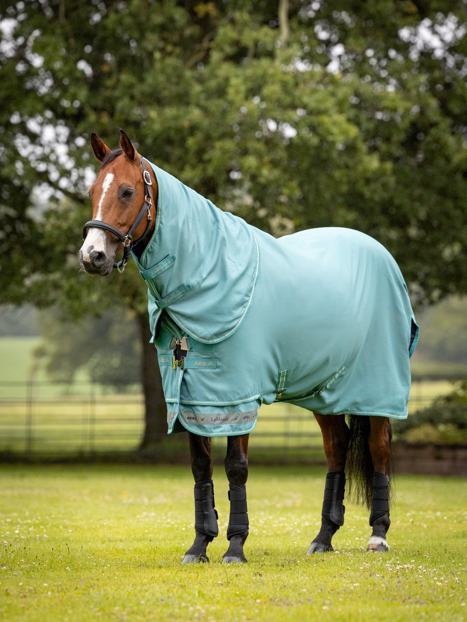 LeMieux Arika Ripstop 0g Regendeken Lagoon Outdoordeken - Maddelin Equestrian LeMieux