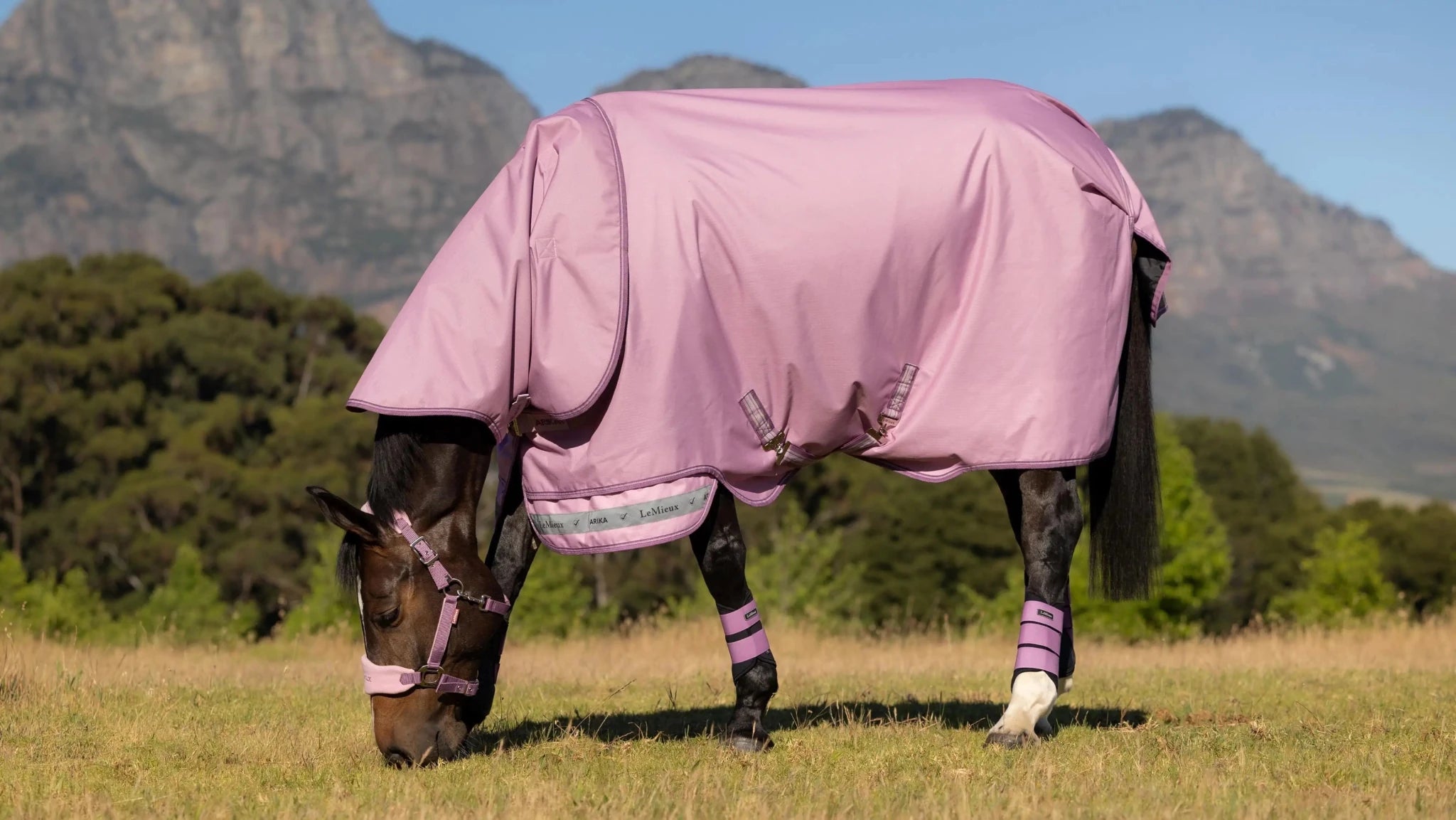 LeMieux Arika Ripstop Turnoutdeken Outdoordeken - Maddelin Equestrian LeMieux