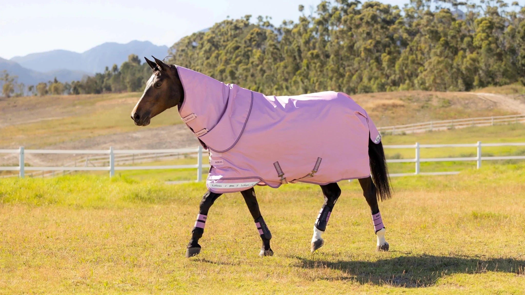 LeMieux Arika Ripstop Turnoutdeken Outdoordeken - Maddelin Equestrian LeMieux