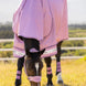 LeMieux Arika Ripstop Turnoutdeken Outdoordeken - Maddelin Equestrian LeMieux